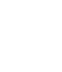 CCHA Logo